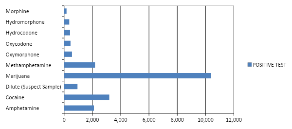 FMCSA Report on Substance Abuse by Commercial Drivers