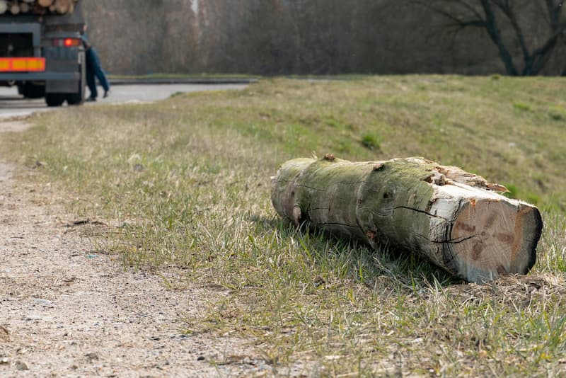 log falling after unsecured truck load