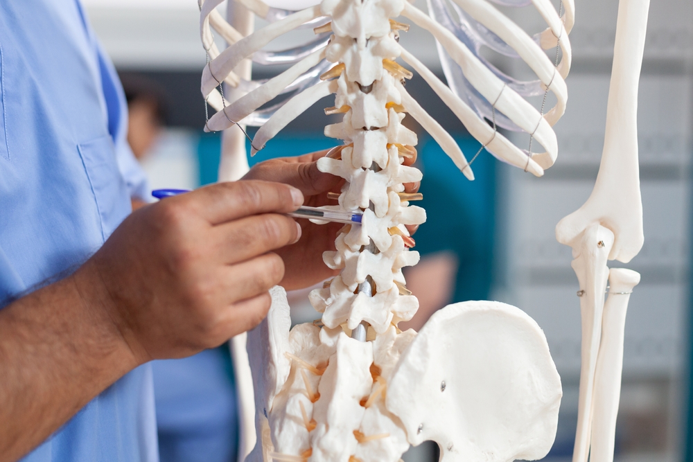 doctor pointing to spine bones